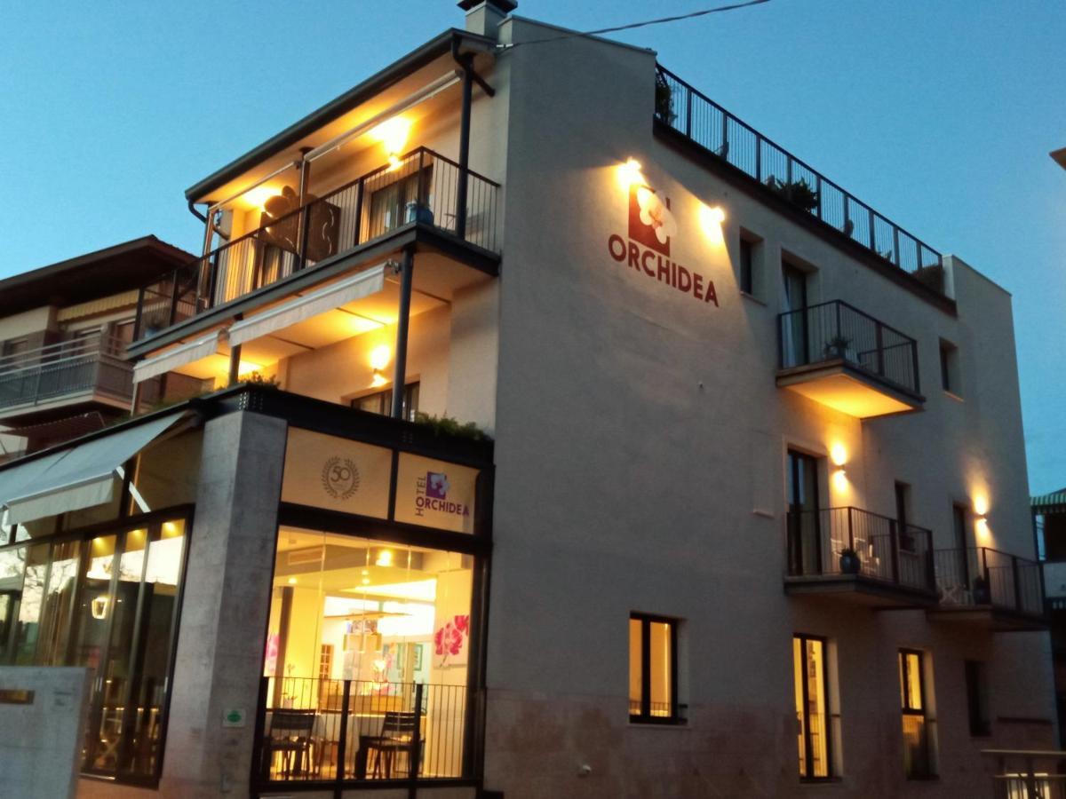Hotel Orchidea Bardolino Kültér fotó